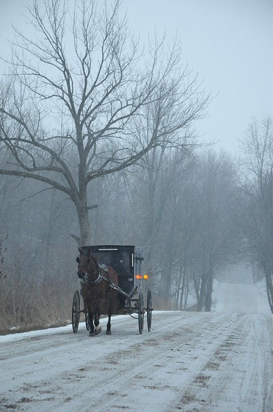 RT_amish_1090_72.jpg (Large) RT_amish_1090_72.jpg (Large)